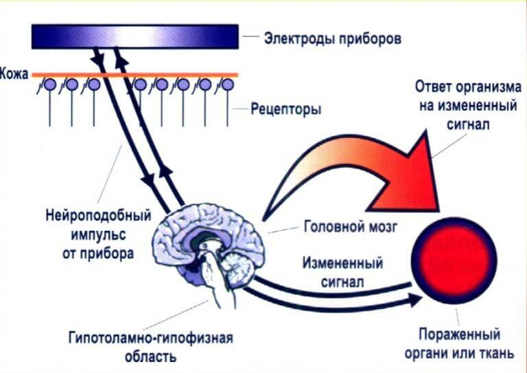 Принцип влияния. Электростимуляция механизм действия. ДЭНАС принцип действия. ДЭНАС динамическая электростимуляция механизм действия. Нейроподобная динамическая электронейростимуляция.